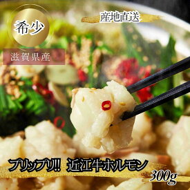 食肉センター直送 数量限定 希少　プリプリ　近江牛ホルモン　小腸 300g ホルモン もつ モツ もつ鍋 モツ鍋 ほるもん 牛 ホルモン焼き 国産　バーベキュー　近江牛　希少　新鮮　おいしい送料無料 送料込み