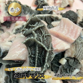 食肉センター直送 数量限定 希少　近江牛ハチノス 　合計400g 　200g×2　個包装　小分けで便利 ホルモン もつ モツ もつ鍋 モツ鍋 ほるもん ハチノス　牛 ホルモン焼き 　送料無料　はちのす　トリッパ　味噌煮込みに