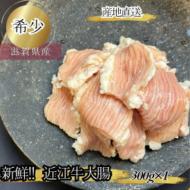 食肉センター直送 数量限定 希少　新鮮　近江牛ホルモン　大腸 300g ホルモン もつ モツ もつ鍋 モツ鍋 ほるもん 牛 ホルモン焼き 国産　バーベキュー　近江牛　希少　新鮮　おいしい送料無料 送料込み　シマチョウ　国産牛ホルモン　黒毛和牛ホルモン