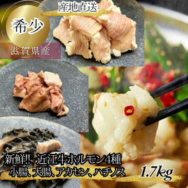 食肉センター直送 近江牛 ホルモンセット 小腸 大腸 アカセン ハチノス 合計1.7kg 数量限定 希少 近江牛ホルモン 焼肉用肉 ミックスホルモン 冷凍 小分け 高級 和牛ホルモン 国産牛 ホルモン もつ 鍋 焼肉ホルモン ホルモン焼き ギアラ シマチョウ はちのす プロトン冷凍