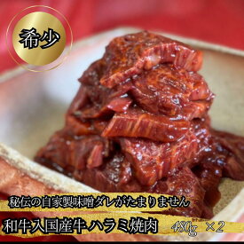 国産牛 ハラミ 960g (480g×2) 希少 和牛入 国産ハラミ 牛ハラミ 取り寄せ 国産 ギフト 父の日 お肉 焼き肉 焼肉ハラミ たれ漬け 味付き肉 ハラミ焼肉用 焼肉用牛肉 焼き肉用肉 赤身 味つき 牛サガリ バーベキュー 肉 高級 BBQ用肉 ハラミ肉 和牛ハラミ お祝い プロトン冷凍