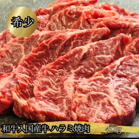 国産牛 ハラミ 400g 和牛入 希少 国産 牛ハラミ 国産ハラミ ギフト 焼肉用 味付けなし お取り寄せ 父の日 お肉 ハラミ肉 はらみ さがり 赤身 牛肉 希少部位 サガリ 美味しい 肉 焼肉 赤身肉 焼肉用牛肉 牛サガリ 横隔膜 誕生日 BBQ 父の日ギフトお肉 数量限定 プロトン冷凍