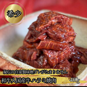  a Y n~ 480g `̎Ɛ^ ͂  n~ Y Ă ē n~Y t tē Ԑg  a јa TK ^Ђ n~ 