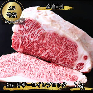 yMtgzYn ɏ A5N I ߍ] T[CXe[L 1kg hV̓ T[C Xe[L 1L Xe[L o[xL[ ubN  a5 aXe[L Xe[L 
