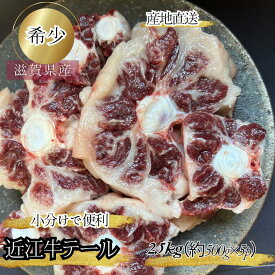食肉センター直送 近江牛 テール 2.5kg ブロック 煮込み用 国産 黒毛和牛 和牛 牛テール 牛 販売 肉 高級 出汁 だし かくし味 だしのもと ギフト 誕生日 お祝い カレー シチュー ビーフシチュー 煮込み おでん テールスープ 煮込み ラーメン 送料込み 送料無料 プロトン冷凍