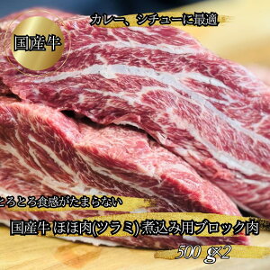 Y قٓ (c~) ύݗp J[ V`[ ubN 500g×2 v1kg  Ă  Y јa r[tV`[ J[ قٓ Y J[p̓ ܂ ub