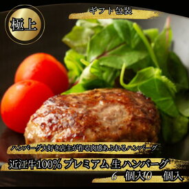 【ギフト包装】近江牛100％ プレミアム 生 牛100%ハンバーグ 1個約120g 6個入 10個入 お中元 ハンバーグ 牛肉100% 牛肉 100% 牛ハンバーグ 生ハンバーグ ギフト 高級 お取り寄せハンバーグ 冷凍 お取り寄せグルメ 誕生日 プレゼント 和牛ハンバーグ 美味しい プロトン冷凍