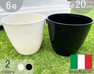 C^A v^[ oC 2Zbg  20cm H18cm 6 Aؔ y  Eh BAYON20  t[|bg [ vX`bN y mg[   ubN zCg 