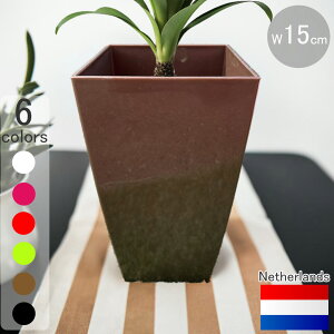 I_fUCv^[ ~m-E _Ch uY 15cm H28cm 5 y  XNGA   _ Aؔ  t[|bg ChA | y Gz 