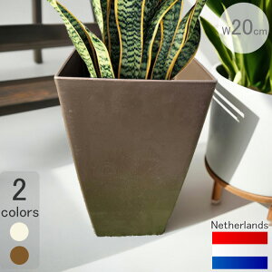 I_fUCv^[ ~m-E x[VbN uY 20cm H36cm  _ Aؔ 6  XNGA y Vv t[|bg O |  y lp G