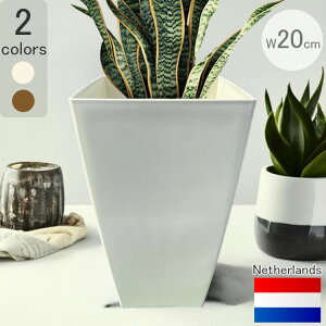 yyVX[p[SALE 10OFF RakutenX[p[SALEz I_fUCv^[ ~m-E x[VbN AC{[ 20cm H36cm  Aؔ 6 XNGA y t[|bg O | 