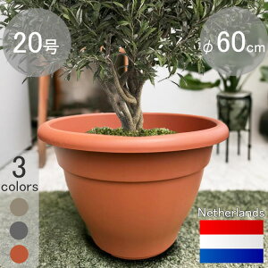 植木鉢 20号の人気商品・通販・価格比較 - 価格.com