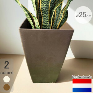 I_fUCv^[ ~m-E x[VbN uY 25cm H47cm 8 XNGA  Aؔ  y t[|bg uE F |  lp y Gz V