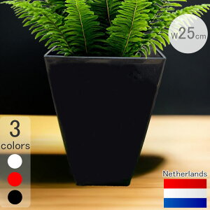 I_fUCv^[ ~m-E _Ch ubN 25cm H47cm 8 XNGA y   Aؔ  lp CeA t[|bg | Gz MADE IN Netherla