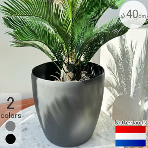 I_v^[ ubZ _[NO[ 40cm H36cm 13 Jt t[|bg LX^[t Gz E436239 y Eh ^  y  ۂAؔ r