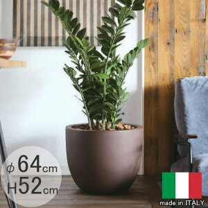 C^AfUCv^[ GgA ER-2447 a64cm 52cm [X[vXg LA Eh t[|bg  Aؔ  ^ MADE IN ITALY ϗtA vX`bN A