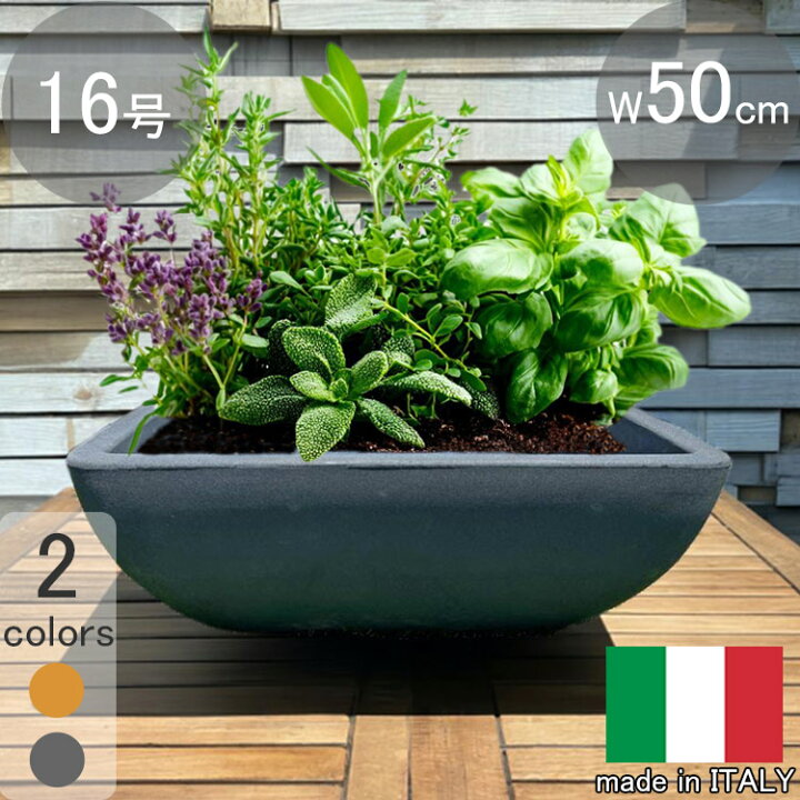 楽天市場】イタリア製 プランター ナポリ □50cm H20cm ライトブラック 