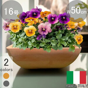 yyVX[p[SALE 10OFF RakutenX[p[SALEz C^Av^[ i| 50cm H20cm eRb^ NAPOLI50D  16  t[|bg XNGA  lp` y Aؔ ^ 