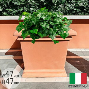 C^AfUCv^[ gXJ[i XNGA NE1129 47cm 47cm ` Aؔ  t[|bg  [X[vXg GgA MADE IN ITALY ϗtA vX`bN 