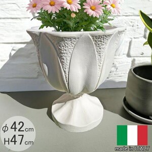 C^A fUC v^[ y^ NE1958 a42cm 47cm 15L Jbv^ Aؔ  lC m t[|bg rt t  [X[vXg GgA  zCg A