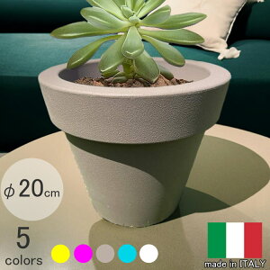 C^Av^[ ~jCR g[v a20cm 18cm  Jt 킢 Aؔ Eh y |   y  t[|bg [X[vXg MADE IN ITALY 