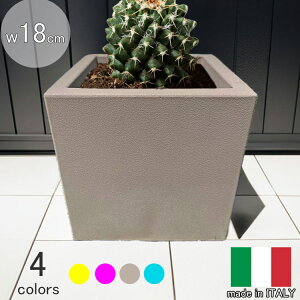 C^Av^[ ~jL[u g[v 18cm 18cm  XNGA Jt 킢 Aؔ y |  lp  t[|bg [X[vXg MADE IN ITALY 