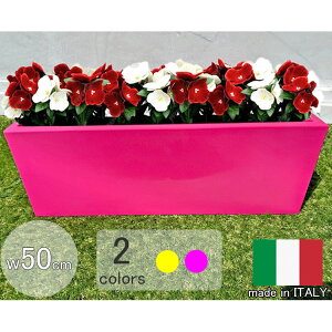 C^AfUCv^[ ~jJZb^L[u [Y 50cm 18cm NE2828   t[|bg y 킢 ` y sN Aؔ MADE IN ITALY [X[vX