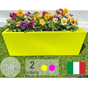 C^AfUCv^[ ~jJZb^L[u lICG[ 50cm 18cm NE2828   t[|bg y 킢 ` y Aؔ MADE IN ITALY [X[v