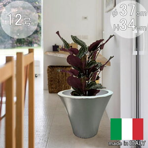 C^Av^[ I[pX N[ a37cm 34cm 10  y  Aؔ nCO[h  Jo[ t[|bg Eh [X[vXg ITALY ϗtA 