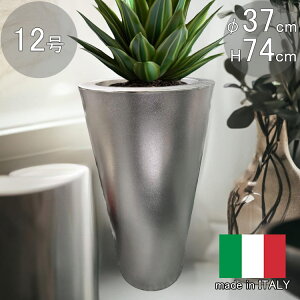 C^AfUCv^[ CB N[ NEK2497 a37cm 74cm Eh   Aؔ t[|bg  F Vo[J[ ^ _  [X[v