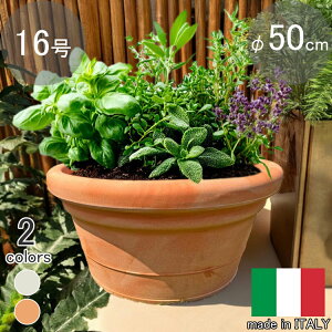  C^A 35L v^[ yh 50cm H28cm 16   Jo[ PEDRO50 Eh ۂAؔ  t[|bg eRb^ ^ 񂹐A ITALY vX`bN y 