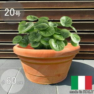 C^A v^[ yh 60cm H31cm 20   Jo[ PEDRO60 Eh ۂ Aؔ  t[|bg eRb^ F ^  Vv _ ITALY vX`b