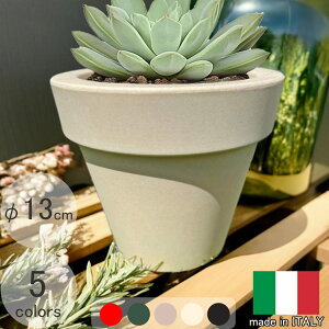 C^Av^[ {_[g AC{[ a13cm 12cm  Aؔ ZK PSE012 MADE IN ITALY Serralunga Eh 킢  ϗtA Jt vX`bN y  t