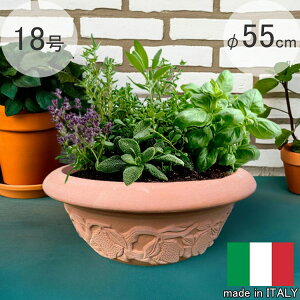 C^Av^[ tFXgi[^|bg a55cm 26cm   ZK PSE255 MADE IN ITALY Serralunga Eh ^̔ ϗtA vX`bN y t[|bg Jo[ ۂ