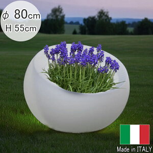 yyVX[p[SALE 20OFF RakutenX[p[SALEz C^A fUCi[Y C~l[V v^[ RuXGbO Cgt  CeA  傫 ^  a80cm PSE268