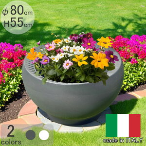 C^AfUCi[Yv^[ RuXGbO CgubN a80cm 55cm   ^̔ ZK PSE268 Serralunga RuX̗ CeA IuWF MADE IN ITALY 