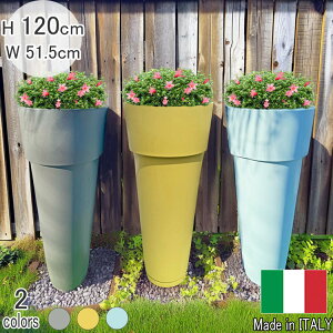 C^A fUC v^[ }JgjI [ PSE611AUM 51.5cm 120cm Ǖt  傫 ^ w g[ X t[|bg   Aؔ ZK  ITALY ϗt