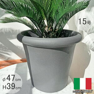 JA 47 C^Av^[ CgubN 47cm H38.5cm 15 ZK  y PSE694 Serralunga MADE IN ITALY ^̔ ϗtA vX`bN y Eh t[|bg  