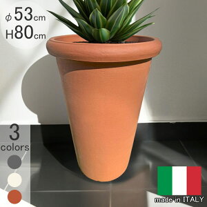 C^Av^[ JA Cvl[^ PSE698 ia53cm 80cmj  t[|bg ^̔ ZK  Camelia Serralunga MADE IN ITALY ϗtA vX`bN Jo[ 