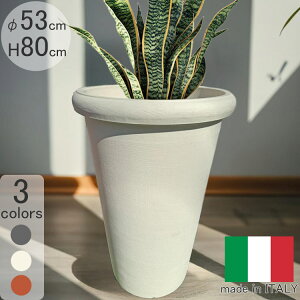 C^Av^[ JA AC{[ PSE698 ia53cm 80cmj  t[|bg ^̔ ZK  Camelia Serralunga MADE IN ITALY ϗtA vX`bN Jo[ ۂA