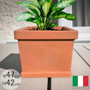 C^AfUCv^[ v[XNGA PSE745 W47cm H42cm Aؔ ` [^  y  t[|bg ZK Serralunga MADE IN ITALY eRb^J[ ϗtA vX