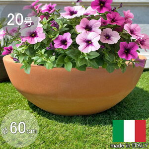 C^A v^[ gm 60cm H23cm 20  TORINO60 Eh  Aؔ   t[|bg eRb^ ^ ITALY vX`bN y y Vv _ ^ ^ 