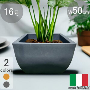 C^Av^[ x[i CgubN 50cm H37cm 16 XNGA  Aؔ Jo[ VERONA50 ITALY ubN  y t[|bg [  vX`bN y lp` 