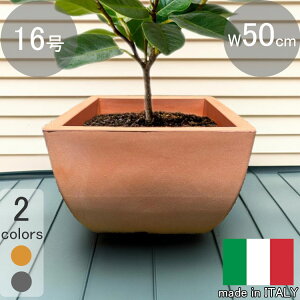 C^A v^[ x[i eRb^ 50cm H37cm 16 XNGA Aؔ Jo[ VERONA50 ITALY ubN  y t[|bg [   vX`bN y lp` 