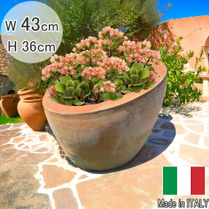 C^A 󂠂  eRb^ v^[ JrA[m W43cm t[|bg ~`  fĂ Eh g Aؔ uE    ϗtA  K[fjO 