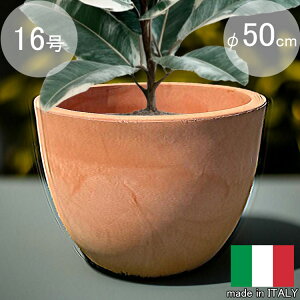 �C�^���A�� �v�����^�[ �t�H���� ��50cm H36cm 16������ ���E���h �A�ؔ� ������� FORLI50 ������ �t�����[�|�b�g �[�� �e���R�b�^ ���F �m�� �ۂ� �v���X�`�b�N �y�� �y�� �V���v�� ���_�� ������ 