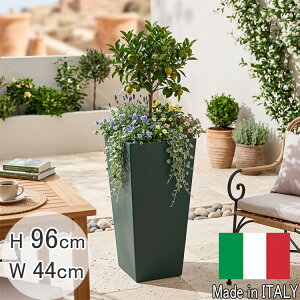 �C�^���A���v�����^�[ �p�^���X�`�I �_�[�N�O���[�� ��44cm H96cm �X�N�G�A ��^ �|�b�g 14������ ������ �l�p�` �A�ؔ� �t�����[�|�b�g ���J�o�[ MADE IN ITALY �v���X�`�b�N ���^ �ϗt�A�� ���A�� 