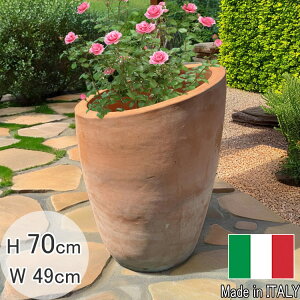 C^A 󂠂  eRb^ 傫 v^[ ^g H70cm t[|bg w g[ ~`  fĂ g Aؔ    ϗtA  K[fjO  A