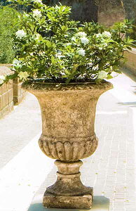 C^Al嗝΃v^[ J[`F RbT VR000213 Italgarden Ԕ Jbv^ C^K[f