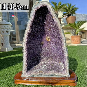 VR AWXg  h[  傫 p[Xg[ 46.5cm 12.3kg  t NX^[ AVXg NX^  VR u  p[v CeA  